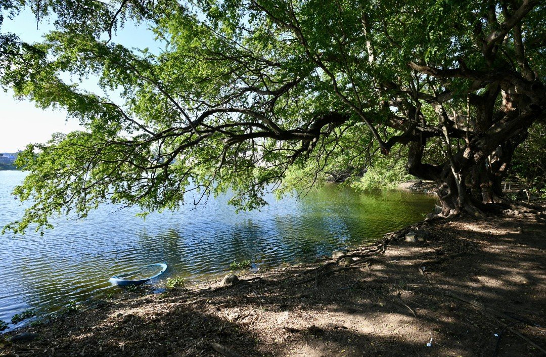 Inicia Ayuntamiento de Veracruz acciones permanentes para proteger su sistema lagunar
