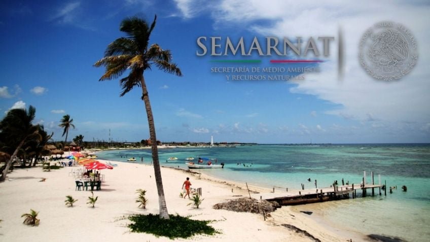 Semarnat no aprobará el proyecto «Perfect Day» en Mahahual: Alicia Bárcena