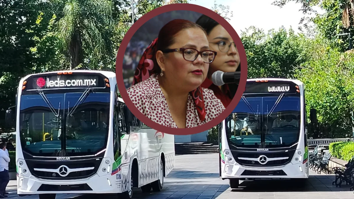 Daniela Griego confirma arranque del transporte «Atenas» en Xalapa, anunciado por Rocío Nahle