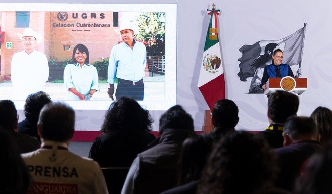 Presidenta Claudia Sheinbaum anuncia reanudación de la exportación de ganado a Estados Unidos desde Sonora