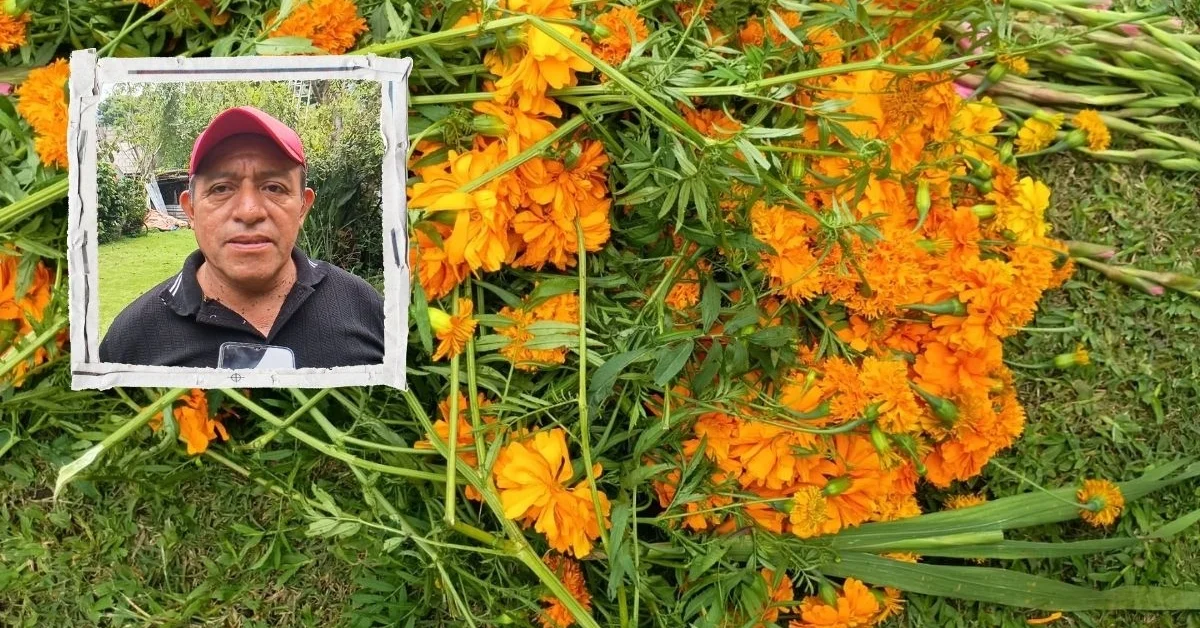 Campesinos veracruzanos se quejan por competencia foránea en comercialización de flor de cempasúchil